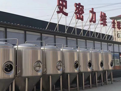 郏县精酿啤酒设备厂—如何判断精酿啤酒设备的密封件需要更换？